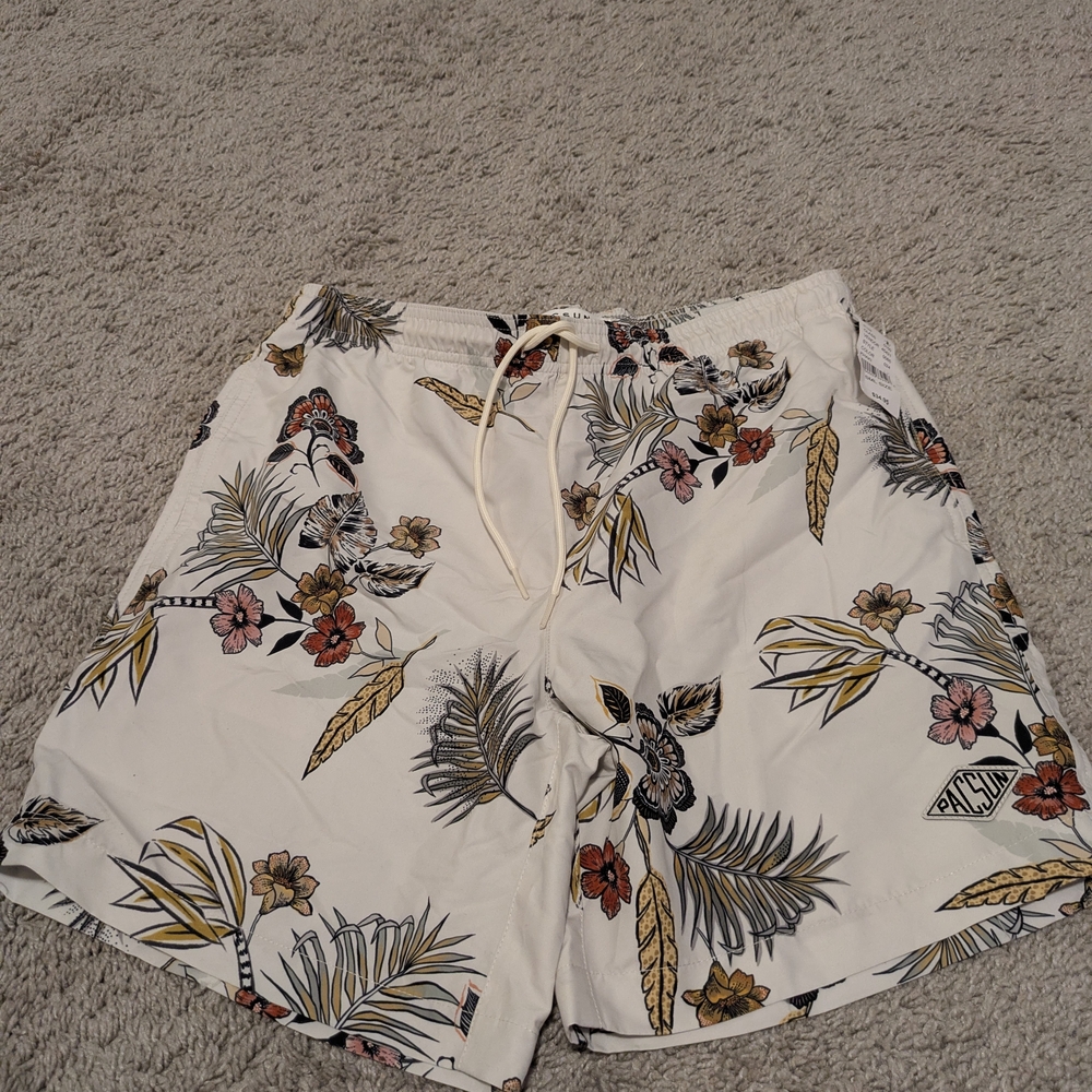PacSun NWT Mens Swimsuit